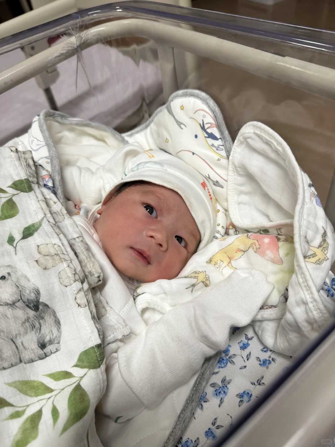 广东供卵包男孩+怎么添加打印机纸张规格（怎么添加打印机纸张格式）