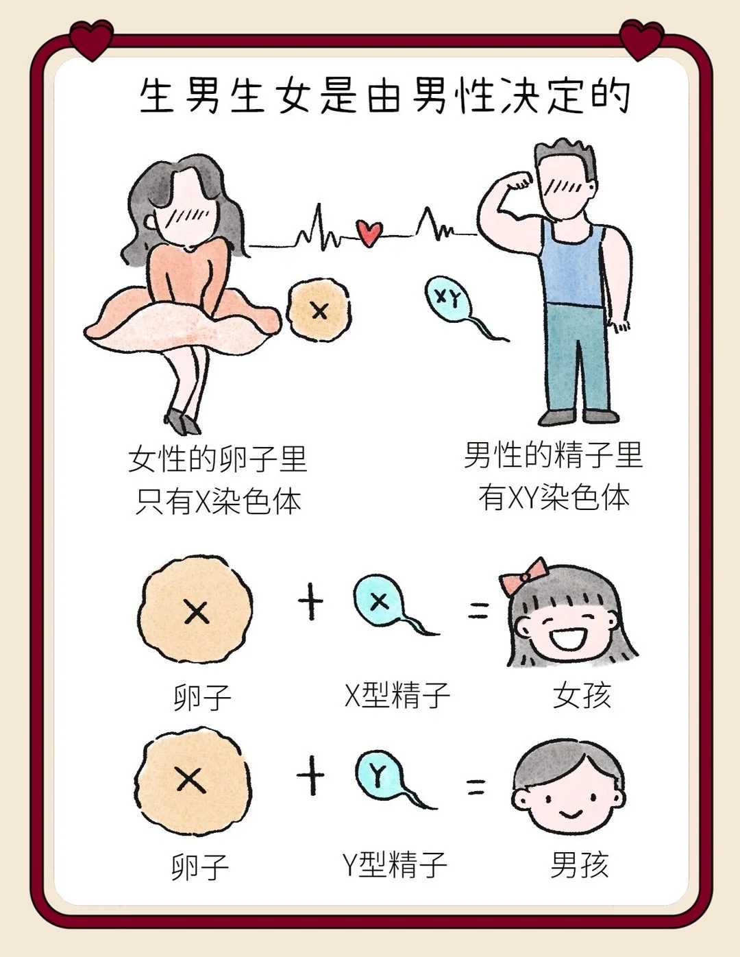 （助孕包成功女孩）动漫的oad表示什么（漫画oad什么意思）